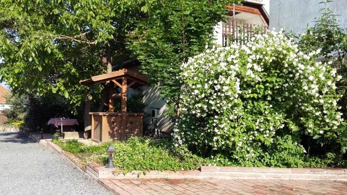 Cziroka Vendeghaz Διαμέρισμα Tolcsva Εξωτερικό φωτογραφία